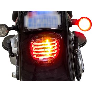 TAILLIGHT W/TS BWDW RLENS