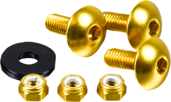 LIC PLT SREW PK 10 GD