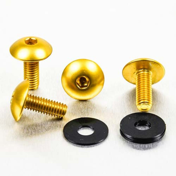 LIC PLT SREW PK M6X16 (30