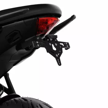 LICENSE PLATE HOLDER PRO TYPE