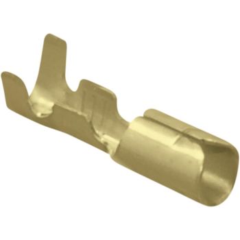 NAMZ TERMINAL FMLE#5 SHUR 50PK