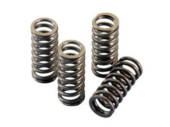 valve spring set Polini for Piaggio 300ie 4T LC Quasar