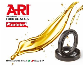 ARI Oil seal, 41 x 53 x 8/10,5