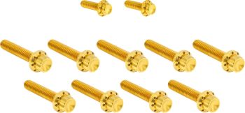 BOLT KIT TITANIUM - FLT 17-23