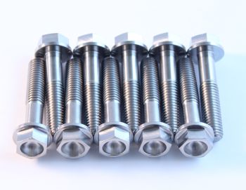 TITANIUM BOLT M8X35 PACK OF 2