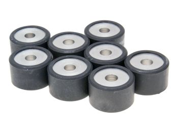 roller set / variator weights Polini 25x16mm - 14.0g (8pcs)