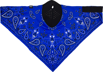 "NEODANNA SPFLX NAV PAISLY"