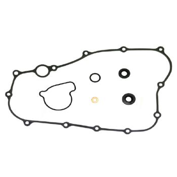 Psychic water pump repair kit CRF250 04-09