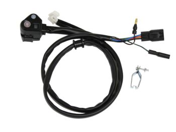 Psychic kill&mode switch CRF450RX 17