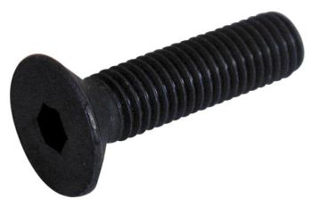 Sisekuuskantpolt 10X50 mm