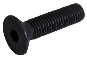 Sisekuuskantpolt 12X80 mm