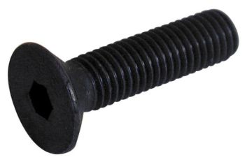 Sisekuuskantpolt 6X10 mm