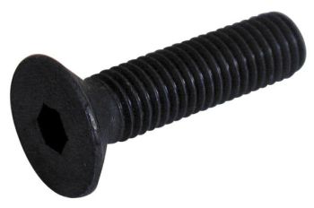 Sisekuuskantpolt 6X40 mm