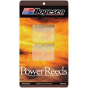 RACING REED KAWASAKI