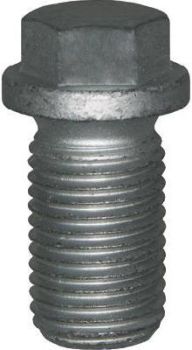 Õlikork+tihend M14x1,5x24 võti 13 mm