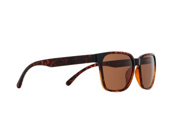 Spect Red Bull Eliot Sunglasses Shiny Havana w Brown lens