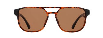 Spect Red Bull Elroy Sunglasses Shiny Havana w Brown lens