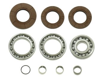 Bronco Differential Bearing & Seal Kit