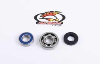 ALL-BALLS Bearing&seal kit