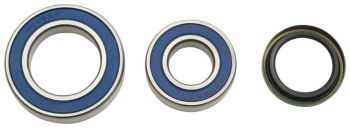 ALL-BALLS Bearing & seal kit, BRP