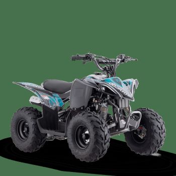 QUAD ODJAR PREDATOR 110