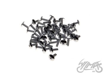 Polt M6x16, Scooter assebml. (50tk pakis), Philips