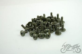 Polt M6x16, Scooter assebml. (50tk pakis), Philips