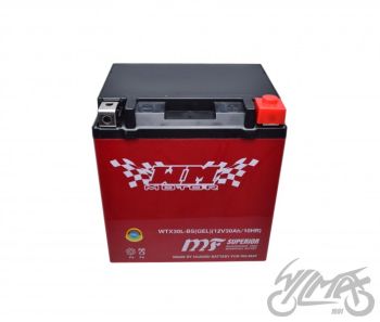 battery WTX30L-BS