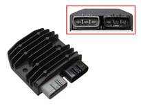 Bronco Regulator Can Am