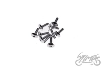 Polt, alumiinium, hõbedane 6x20, 10tk pakis