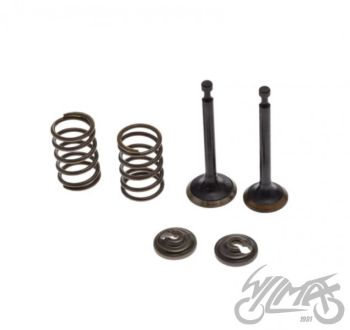 Klapi vedrud võrri mootorile 4T