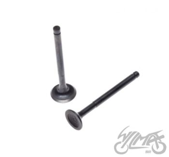 Klappide komplekt (sisselaske ja väljalaske) 50/80CC de