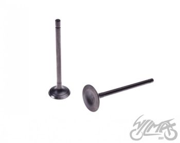 Klappide komplekt (sisselaske ja väljalaske) 150cc LONCIN 4T