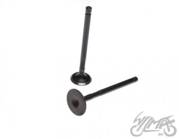 Klappide komplekt (sisselaske ja väljalaske) 250 CCM 2 kolbi JIALING 4T