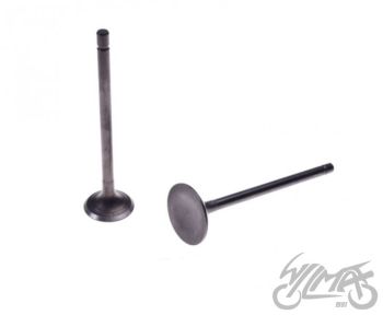 Klappide komplekt (sisselaske ja väljalaske) 125 CCM LONCIN 4T