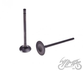 Klappide komplekt (sisselaske ja väljalaske) 150 CC LONCIN 4T LC