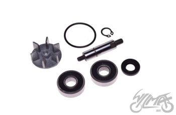 Veepump PREDATOR LC 98-01 DERBI ATLANTIS P