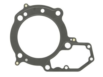 Plokikaane tihend ATHENA sobib BMW 1100GS, 1100RS