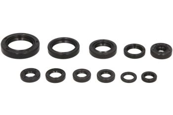 Mootori kaelustihendite komplekt