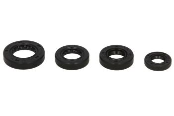 Mootori tihendid komplekt WINDEROSA sobib HONDA 150F, 200