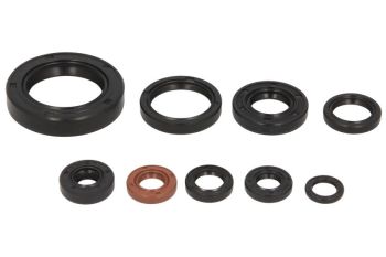 Mootori kaelustihendite komplekt