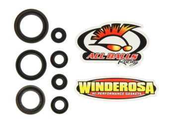 Mootori tihendid komplekt WINDEROSA sobib KTM 125