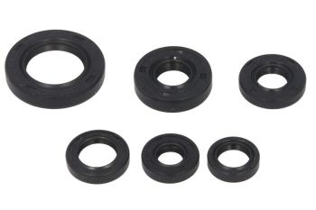 Mootori kaelustihendite komplekt