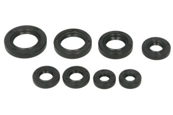 Mootori kaelustihendite komplekt