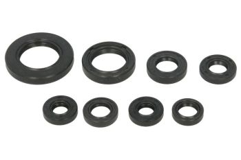 WINDEROSA Mootori tihendid komplekt WINDEROSA sobib HONDA 250EX, 250EX (Sporttrax), 250TE, 250TE (FourTr.Rec.ES), 250TE (Recon), 250TE (Recon ES), 250TM (FourTr./Rec.), 250TM (FourTr.Rec.)