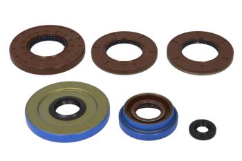 Mootori tihendid komplekt WINDEROSA