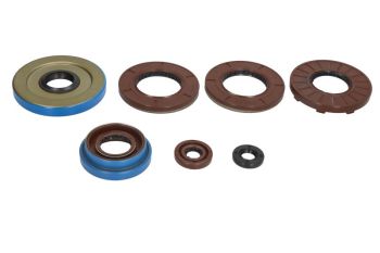 WINDEROSA Mootori tihendid komplekt WINDEROSA sobib POLARIS 325 4x4, 325 ETX, 325 ETX EU, 325 ACE, 325 ETX EFI, 325 ETX EFI MD, 325, 325 EU, 325 HD