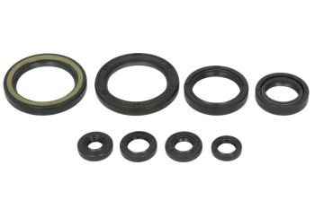 Mootori kaelustihendite komplekt