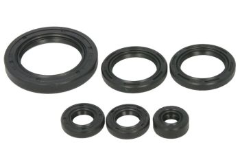 WINDEROSA Mootori tihendid komplekt WINDEROSA sobib HONDA 650 (Fourtrax Rincon), 650 Rincon, 680 (Rincon)