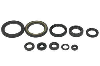 Mootori kaelustihendite komplekt